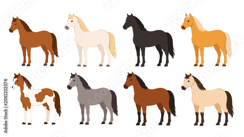 Fotografie Set of eight horses in different coat colors vector illustration