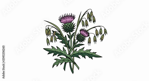 Stylized illustration of a thistle and oat stalks against a white background