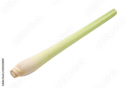 Fresh lemongrass stalk isolated on transparent background