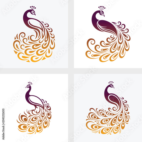 Set of decorative floral vector elements with peacock and ornate tribal patterns