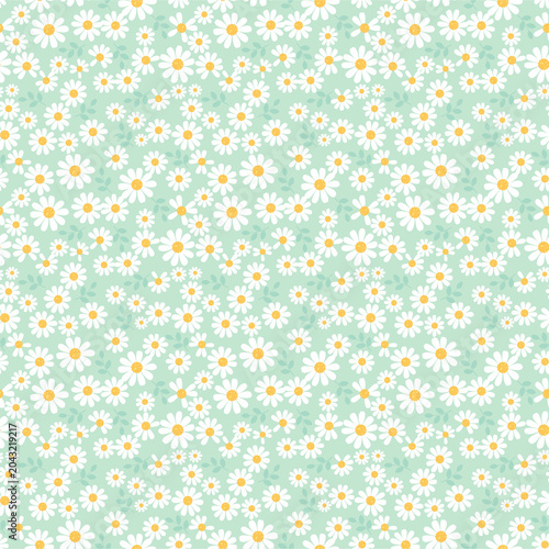 Valokuva Patrón continuo floral con pequeñas margaritas blancas y hojas sobre fondo verde