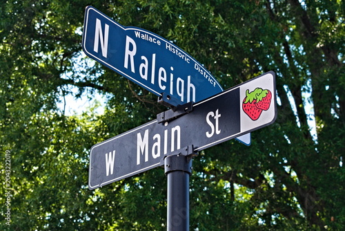 Photography A street sign in Wallace identifying the intersection of Raleigh Street and Main Street
