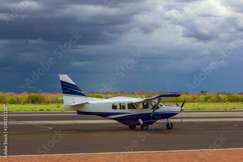 Buschflieger