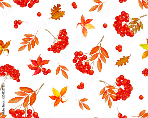 Watercolor autumn seamless pattern with set  rowan berries leaves on white background
