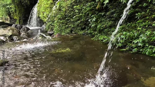 small waterfall in the forest