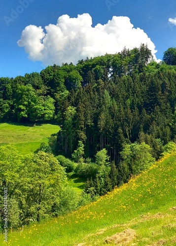 Frühsommer in den Bergen