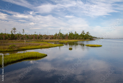Tableau sur toile Calm estuarine waters wind through vibrant marsh grasses in Croatan National Forest, reflecting sweeping clouds and coastal woodland along North Carolina's coast