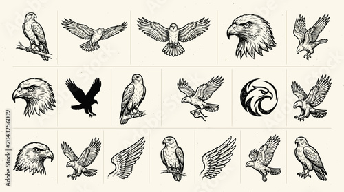Set of eagle and hawk sketches for emblems and logos.