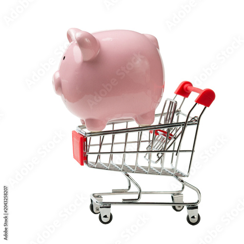 Piggy bank on a grocery cart with dollars. The concept of buying goods in the store.