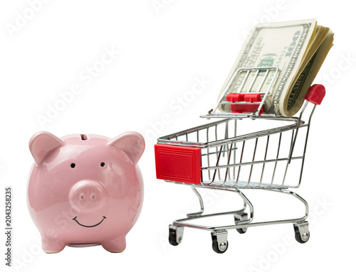 Piggy bank on a grocery cart with dollars. The concept of buying goods in the store.