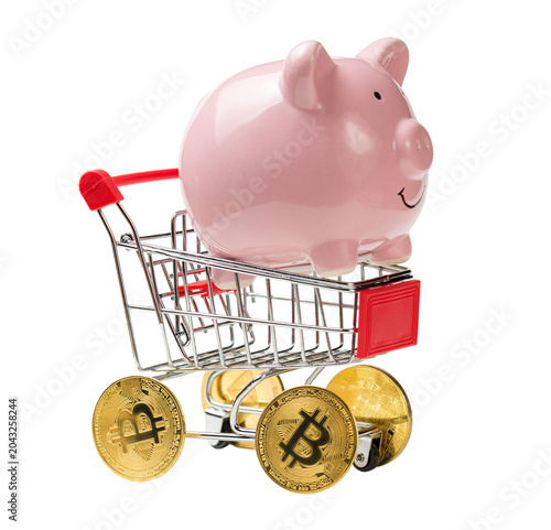 Piggy bank on a grocery cart with dollars. The concept of buying goods in the store.
