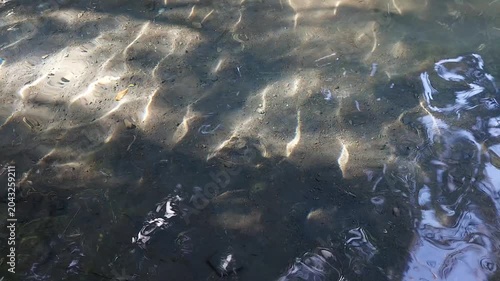 Natural Water Ripple Texture and Light Reflection, Clear River Water Surface with Sunlight Reflection Background