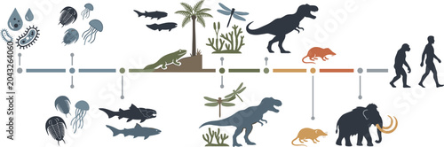 Принти на полотні Evolution Timeline Infographic Showing Life Development from Microorganisms to H
