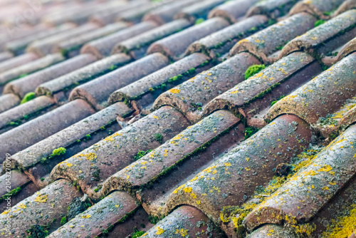 Weathered clay roof tiles with moss and lichen