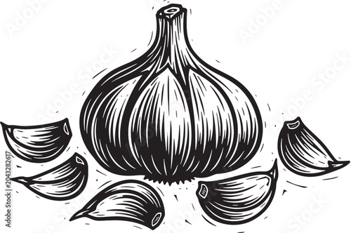 Woodcut style whole garlic and cloves