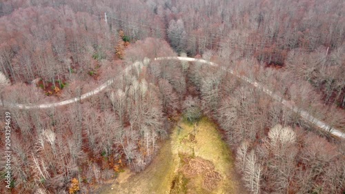 Aerial View of Winding Road Through Bare Autumn Forest in Mavrovo National Park, North Macedonia