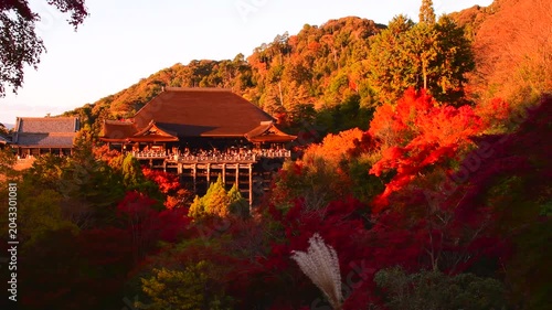 真っ赤な紅葉と清水寺の秋