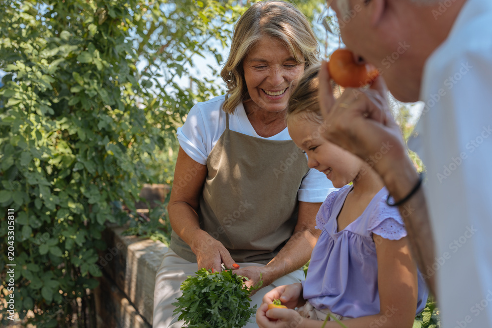 Obraz premium Grandparents and grandchild enjoying harvest in garden