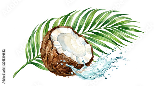 Tropical Botanical Watercolor Illustration Of A Cracked Brown Coconut With Fresh Water On A White Background