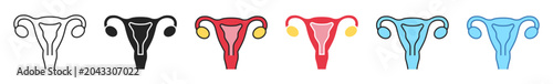Foto uterus anatomy medical icons