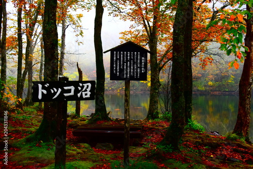 山形県 山形市の蔵王中央ロープウェイ（秋）