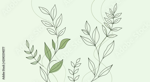 Minimalist Botanical Illustration: Delicate Leaves and Stems on Light Green Background