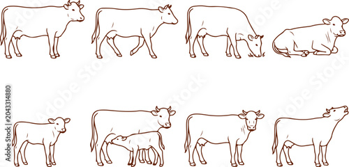Photos Collection of line art drawings of cows and calves in various poses, isolated on transparent background