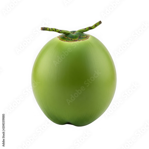 Fresh green coconut with stem isolated on white