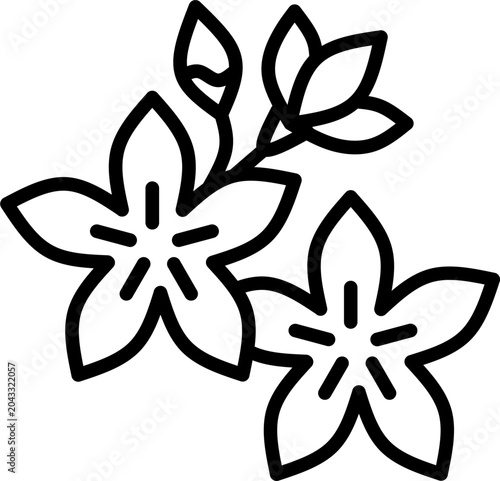 Line Art Illustration of Neroli Flowers and Buds