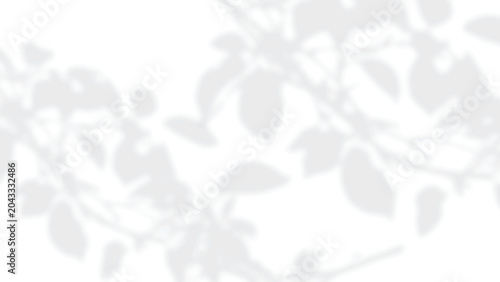 Leaf shadow overlay PNG, soft dappled branches on transparent background for natural mockups and branding