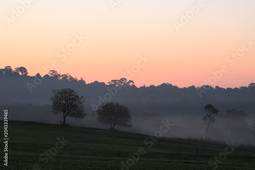 Bild auf Leinwand The sunrises in the early morning over the grasslands of Thung Kamang, Phu Khiao Wildlife Sanctuary, Chaiyaphum Province, Thailand
