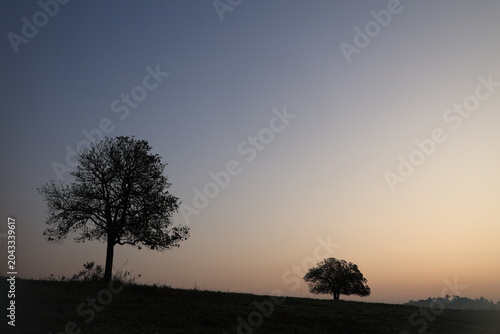 Bild auf Leinwand The sunrises in the early morning over the grasslands of Thung Kamang, Phu Khiao Wildlife Sanctuary, Chaiyaphum Province, Thailand