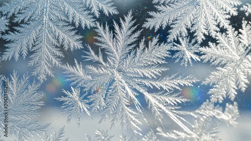 Intricate Frost Patterns on Glass
