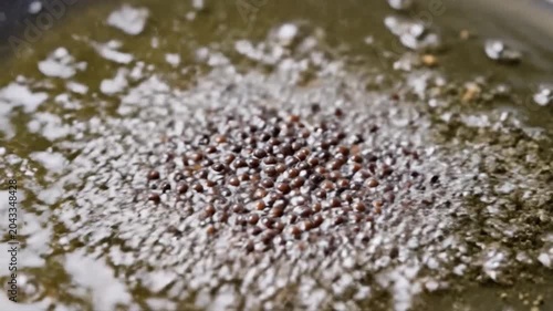 Mustard seeds sizzling in hot oil for cooking