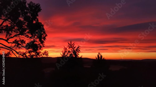 Vibrant Sunset Sky Over Silhouetted Trees