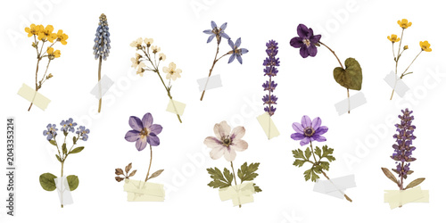 Vector trendy flowers with adhesive tape for collage. Modern texture for design art. y2k vintage collage set.