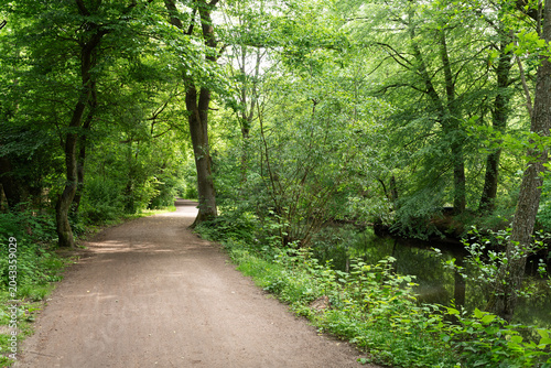 footpath and Alster river under lush green foliage in Hamburg, Germany in early summer