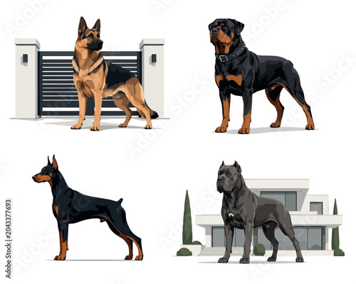 Obraz na plátně Vsai guard dog breeds protecting home security concept