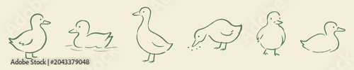 Bild auf Leinwand Hand drawn doodle duck collection, loose ink sketchy waterfowl characters in various poses and expressions