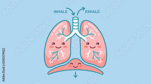 Photos Cute lungs diagram illustrating breathing