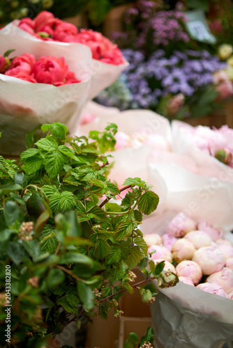 Stalls with flowers and bouquets at local street market