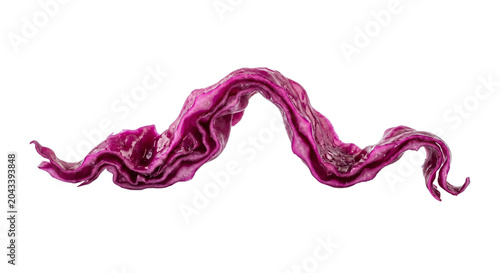 Wavy Red Cabbage Leaf Texture, Isolated on White Background