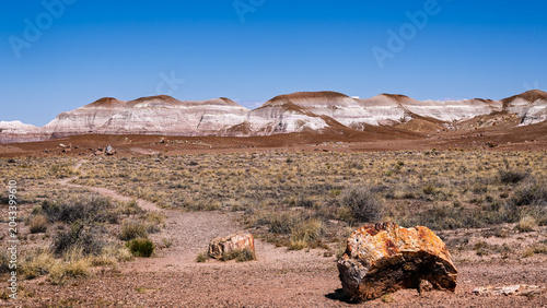 The rugged and spectacular lamdscape of the Petrified Foraest National Park East of Holbrook AZ