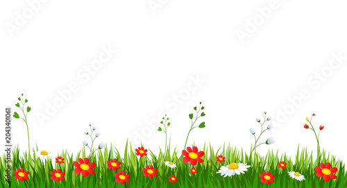 Spring meadow illustration with colorful red and white flowers growing in green grass on white background.