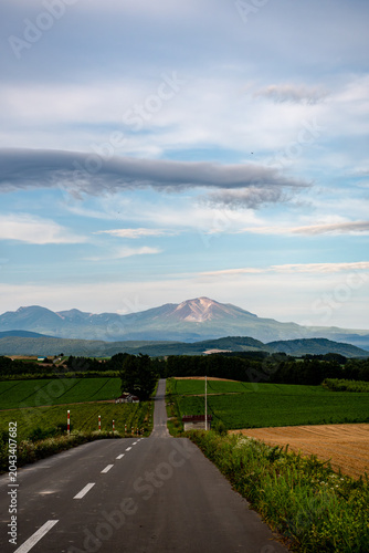 夏の緑の畑作地帯を通る道路と山並み　大雪山
