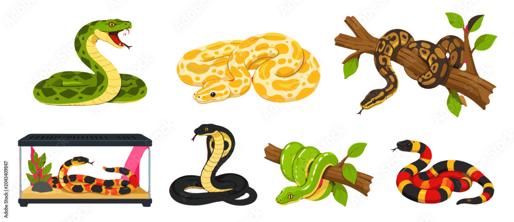 Obraz premium Cartoon snake collection with cobra, python and tree branch reptiles