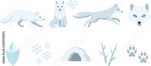 Fotografía Arctic Fox Vector Illustration Set Featuring Flat Design White Wild Animals with