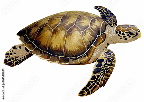 Foto Sea Turtle Illustration Detailed Shell Pattern And Realistic Form