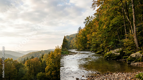 Autumn forest landscape with flowing river and rolling hills
