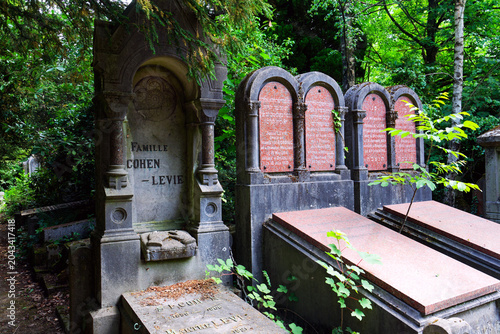 Fotografie Abandoned Dieweg cemetery overtaken by nature on May 21, 2025 in Brussels, Belgium